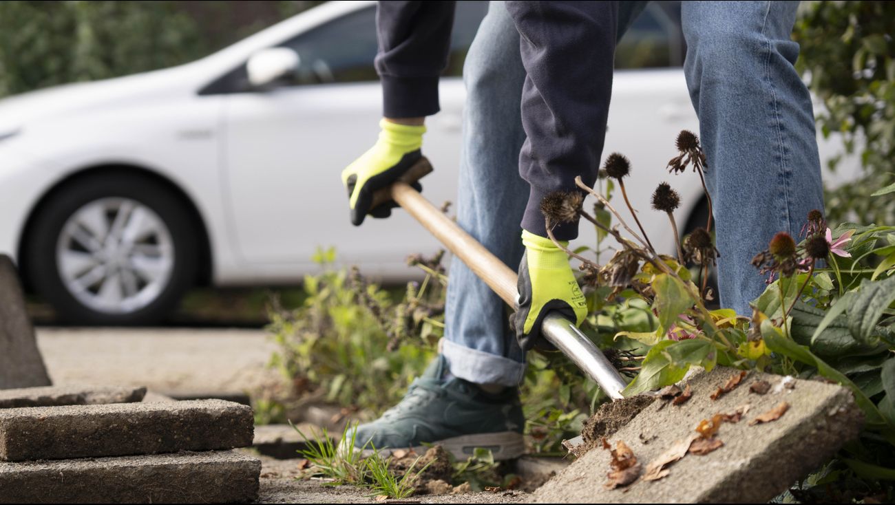 Gemist - Straten in Lelystad gezocht voor Groene Straat Make over