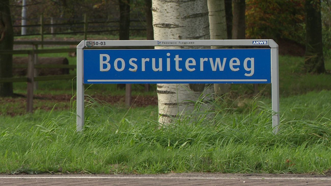 Nieuws - Bungaloweigenaren krijgen definitief 1000 arbeidsmigranten als buren