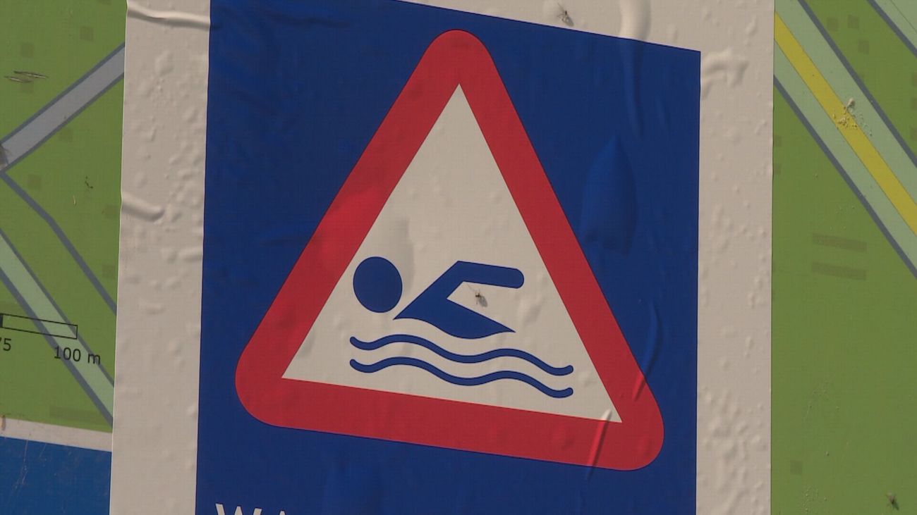 Nieuws - Let op als je wil zwemmen bij het Laakse Strand in Zeewolde: blauwalg