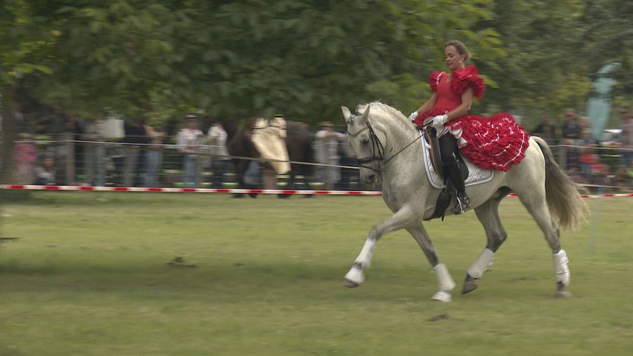 Gemist - Meer aanmeldingen dan er plek is op paardenevenement Outdoor Dronten