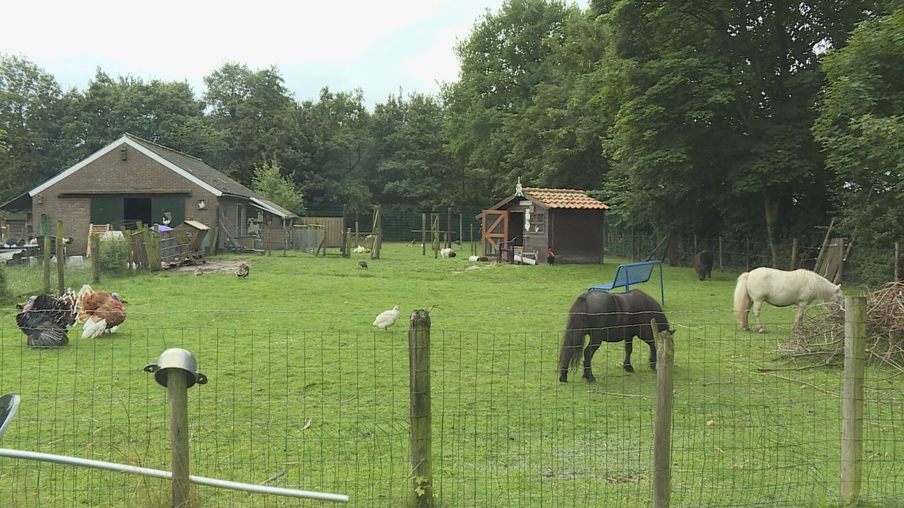 Nieuws - Niet op vakantie om de liefde voor dieren