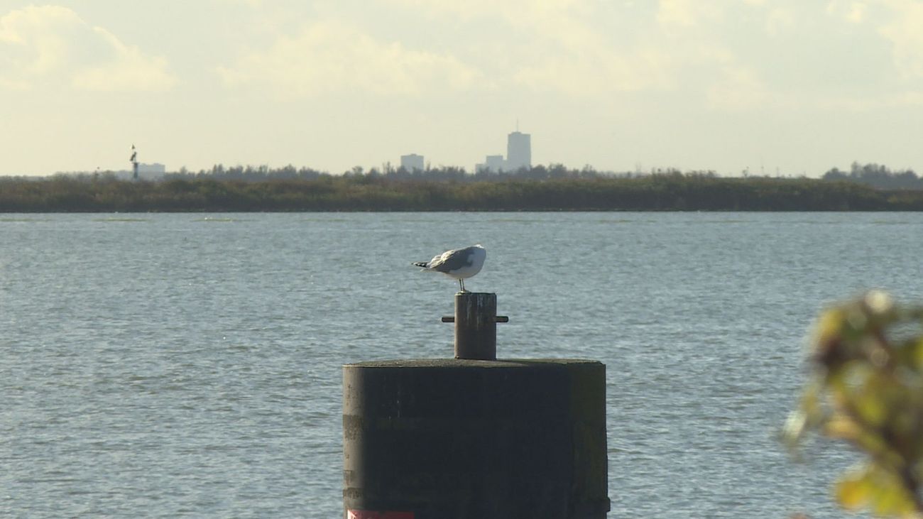 Nieuws - Noodpompen ingezet om zoetwater vanuit Markermeer naar Vecht te pompen