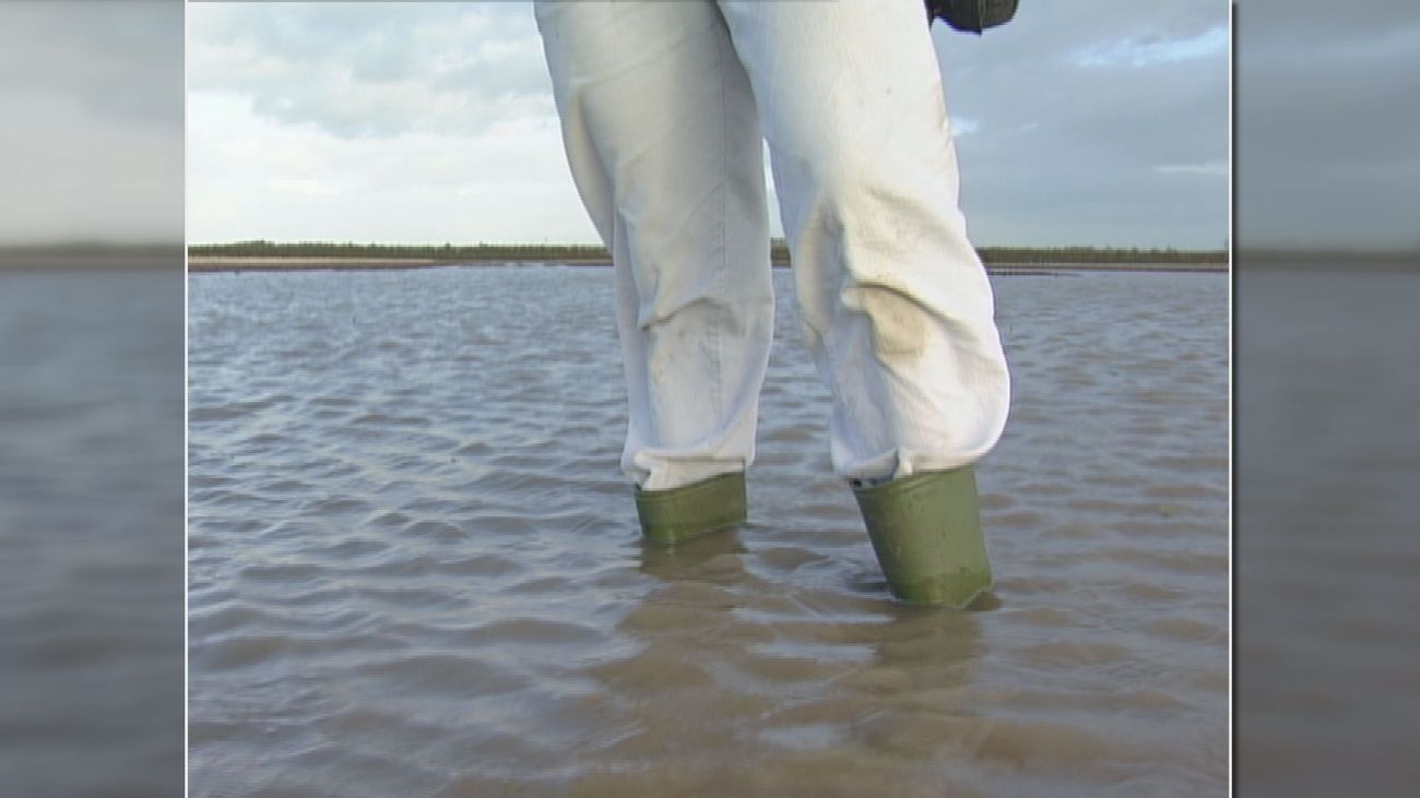 Nieuws - Wateroverlast 1998 (1): Gedonder in de polder