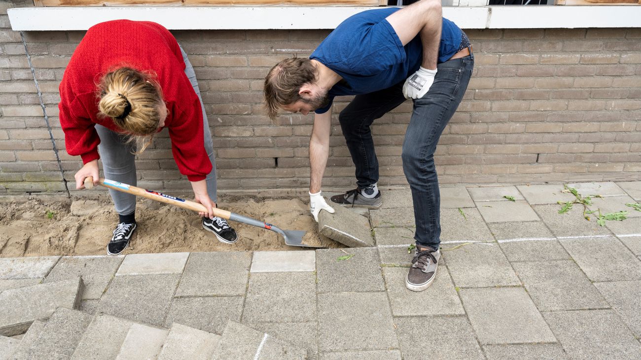 Tegels eruit, groen erin: Gemeente Almere haalt tuintegels gratis op