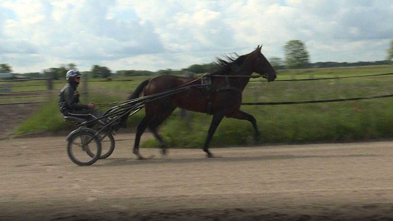 Sport - Paard Luuk Schermer is een lot uit de loterij
