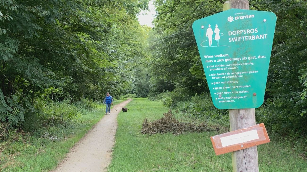 Nieuws - Groot aantal essen Dorpsbos Swifterbant weg om essentaksterfte