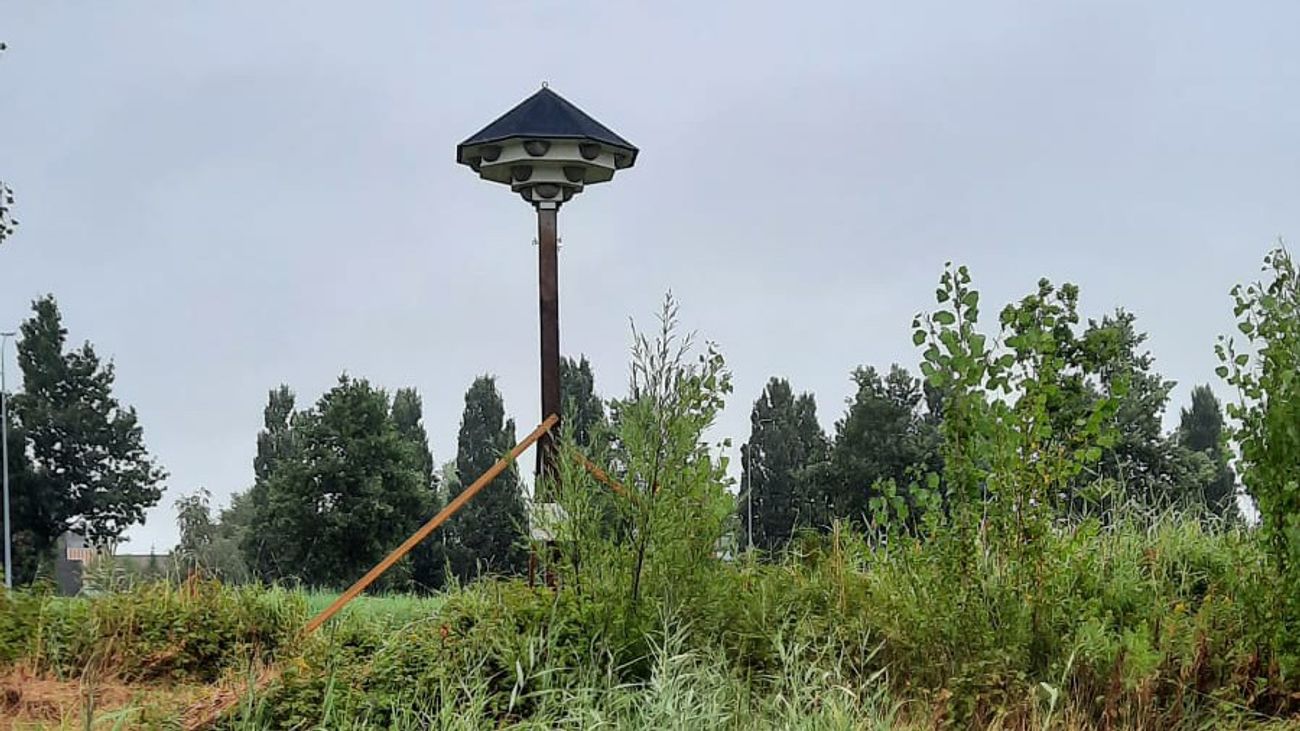 Nieuws - Zwaluw kan nu ook lekker slapen in Warande