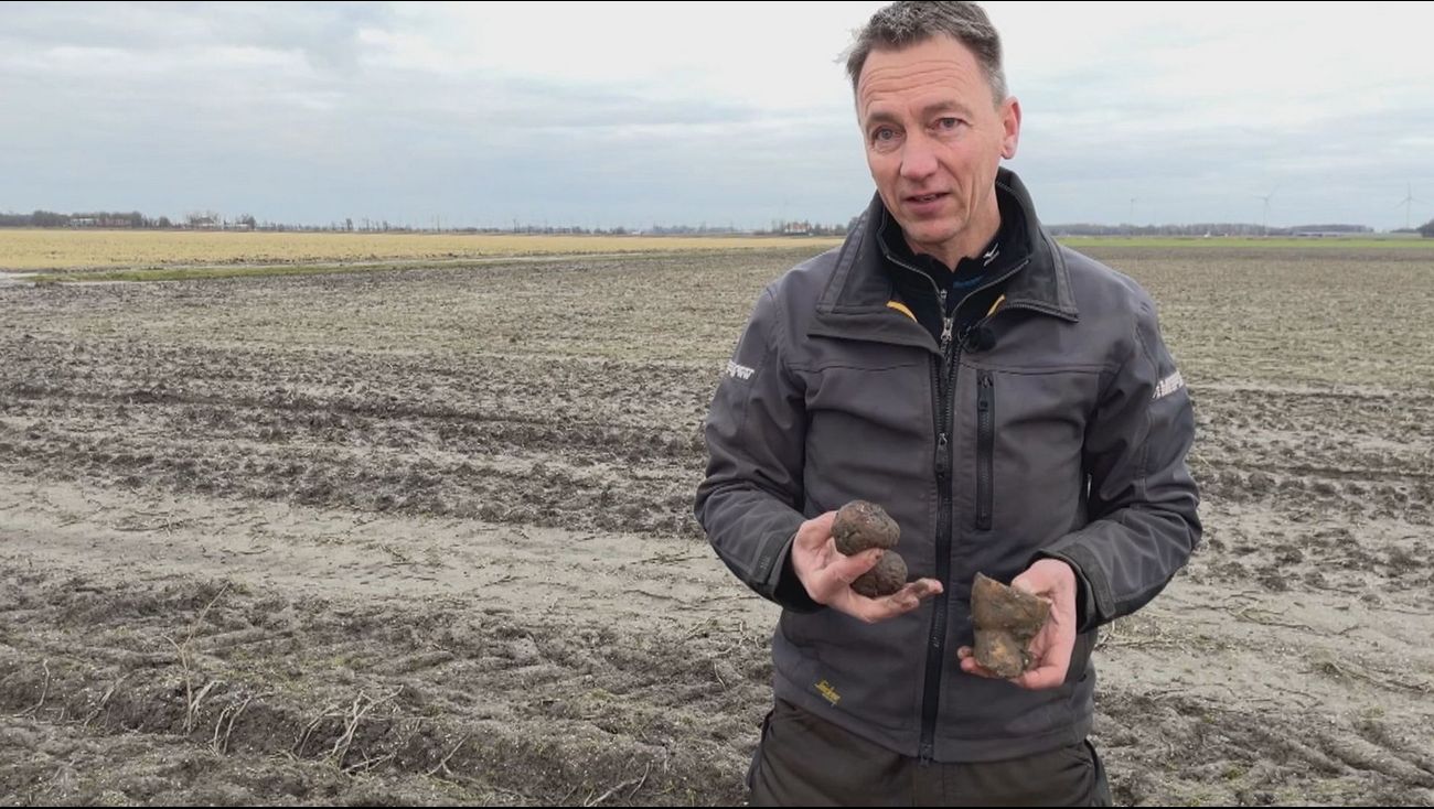 Nieuws - Boer Joop uit Nagele ziet oogst verloren gaan door vorst: '75.000 euro schade'