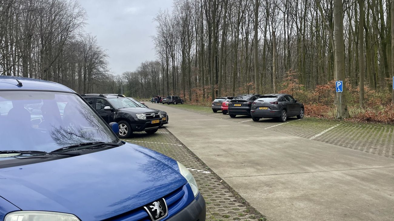 Nieuws - Betaald parkeren bij Waterloopbos gaat door: 'Geld is écht nodig voor onderhoud'