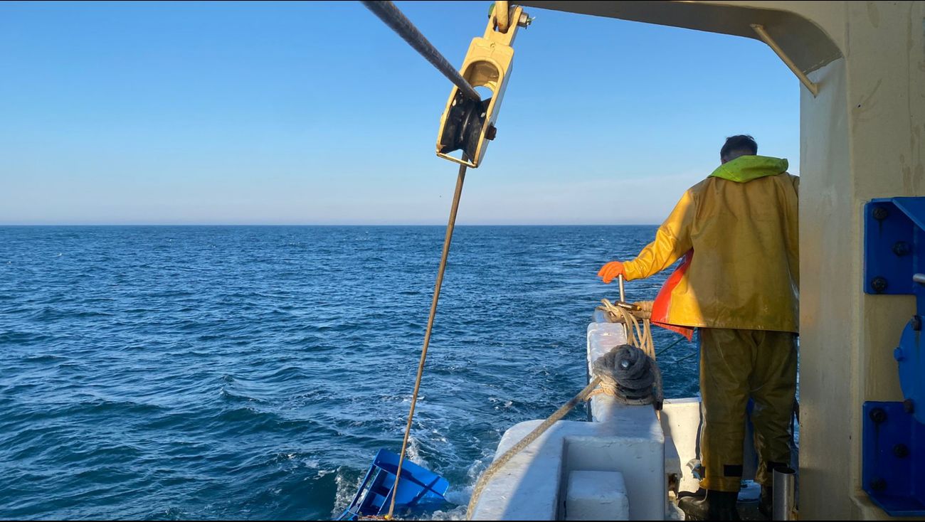 Nieuws - Boeren en visserijsector krijgen ieder 25 miljoen uit steunpakket energiemaatregelen