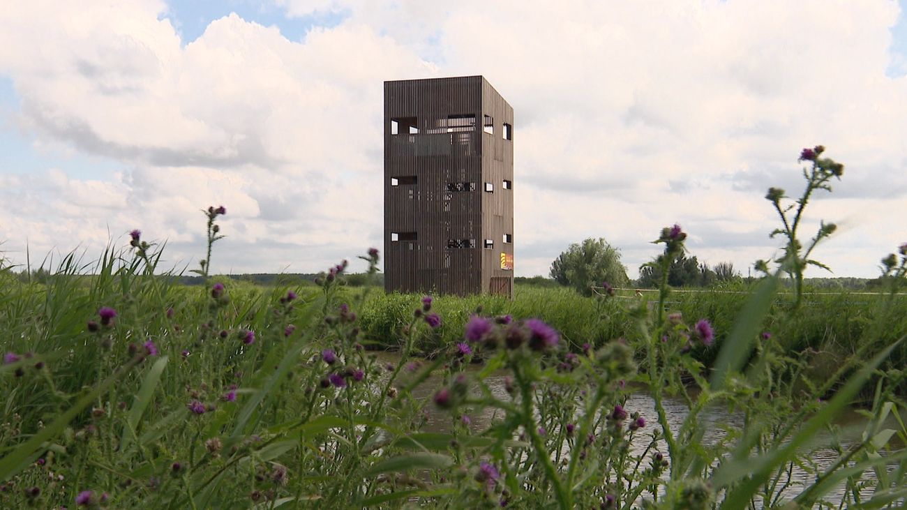 Nieuws - Oehs en ahs bij opening tien meter hoge uitkijktoren Oostvaardersplassen: 