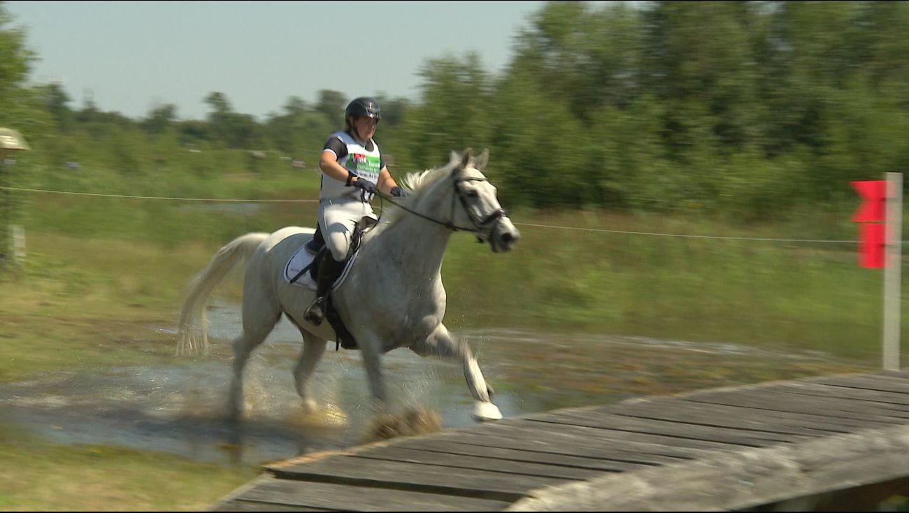 Gemist - Duizenden bezoekers verwacht op Eventing Flevoland