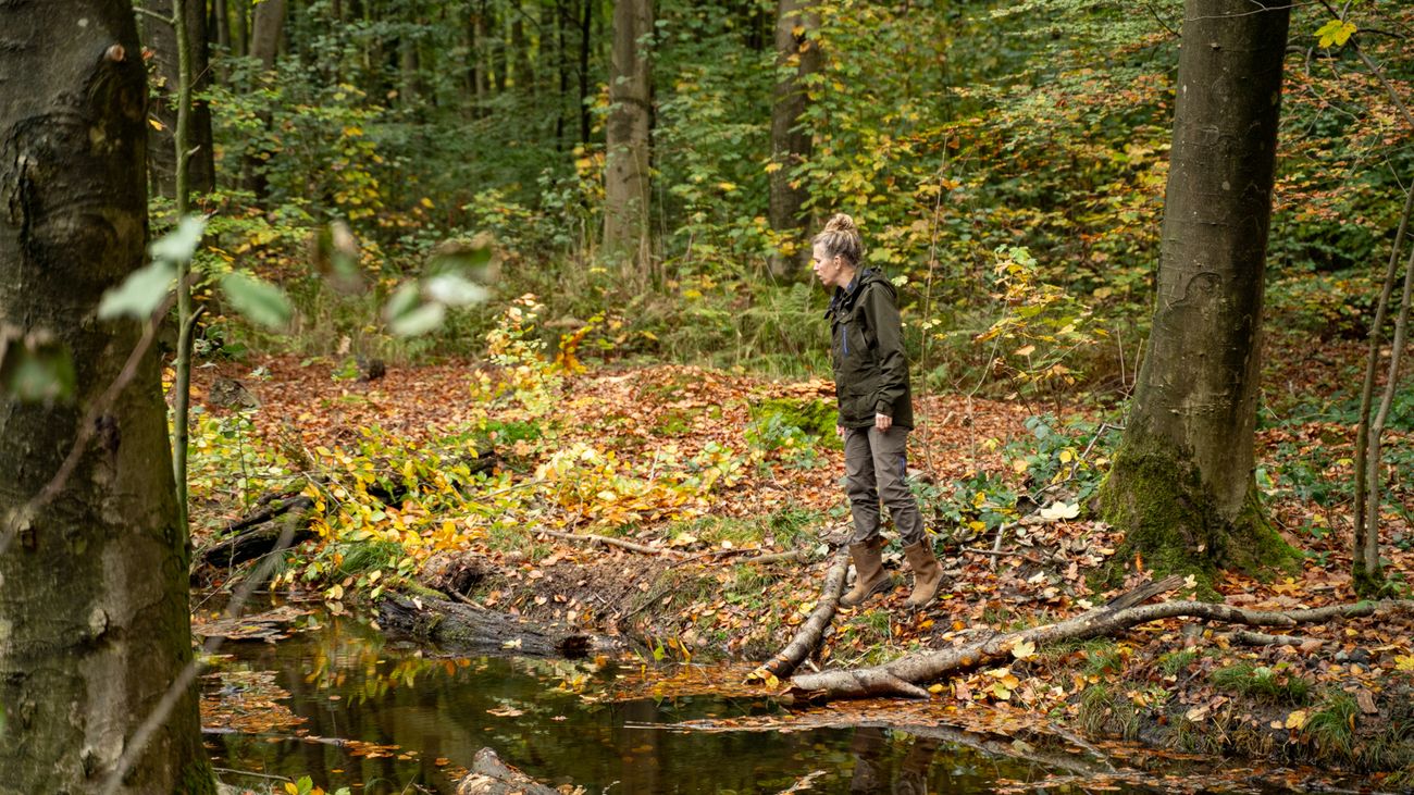 Nieuws - Voorsterbos op de schop: water moet er langer vastgehouden worden