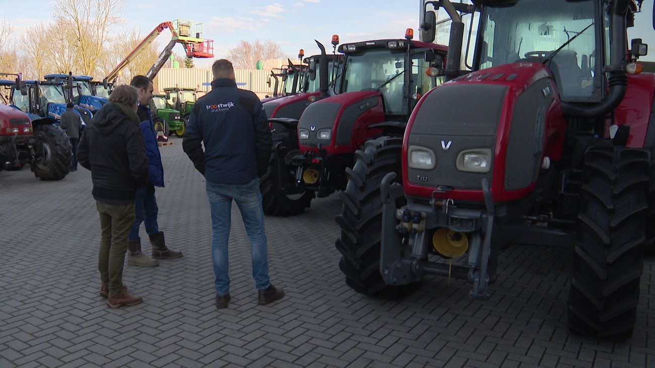 Nieuws - Honderden trekkers te bewonderen voor veiling