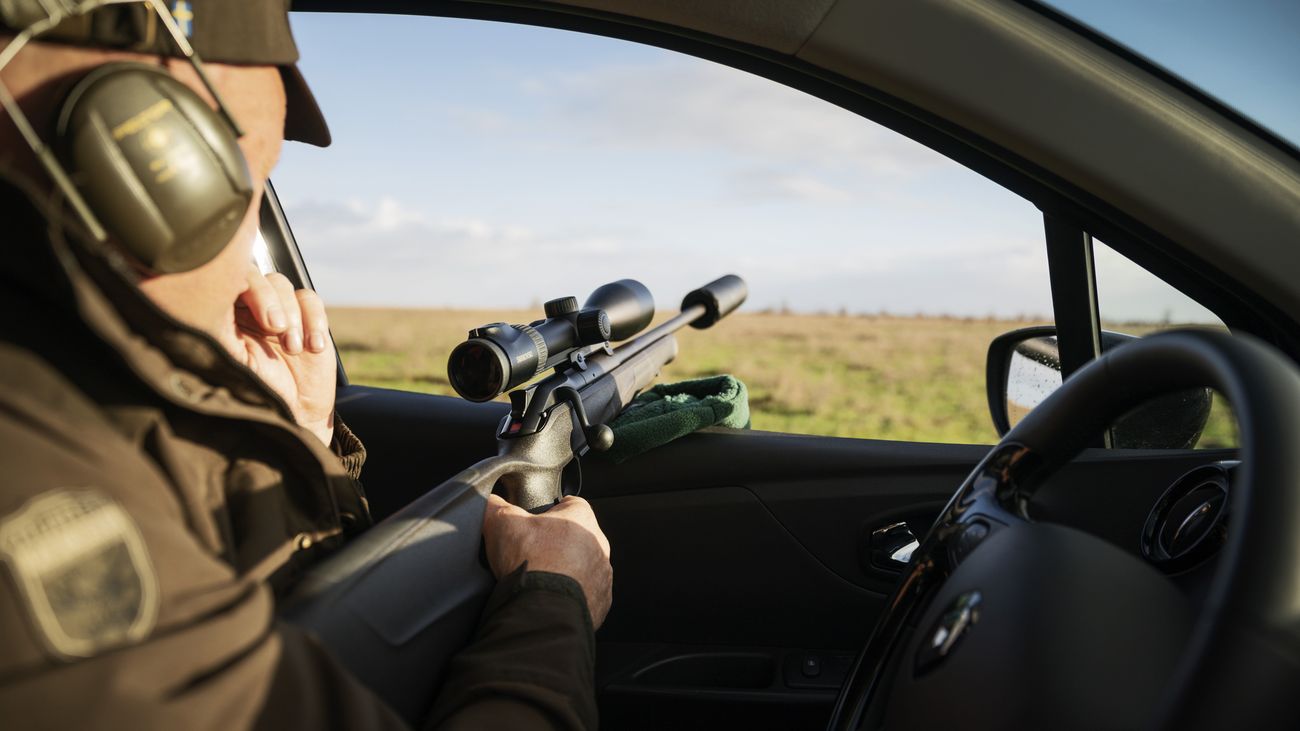 Provincie kan nog niemand vinden die onderzoek grote grazers Oostvaardersplassen kan doen