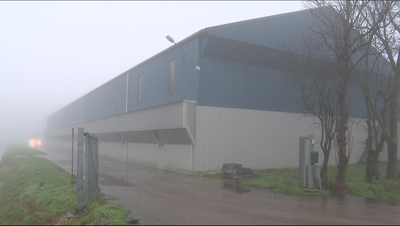 Nieuws - Omstreden varkenshouder terecht aangepakt: 'Geen concreet zicht op legalisatie'