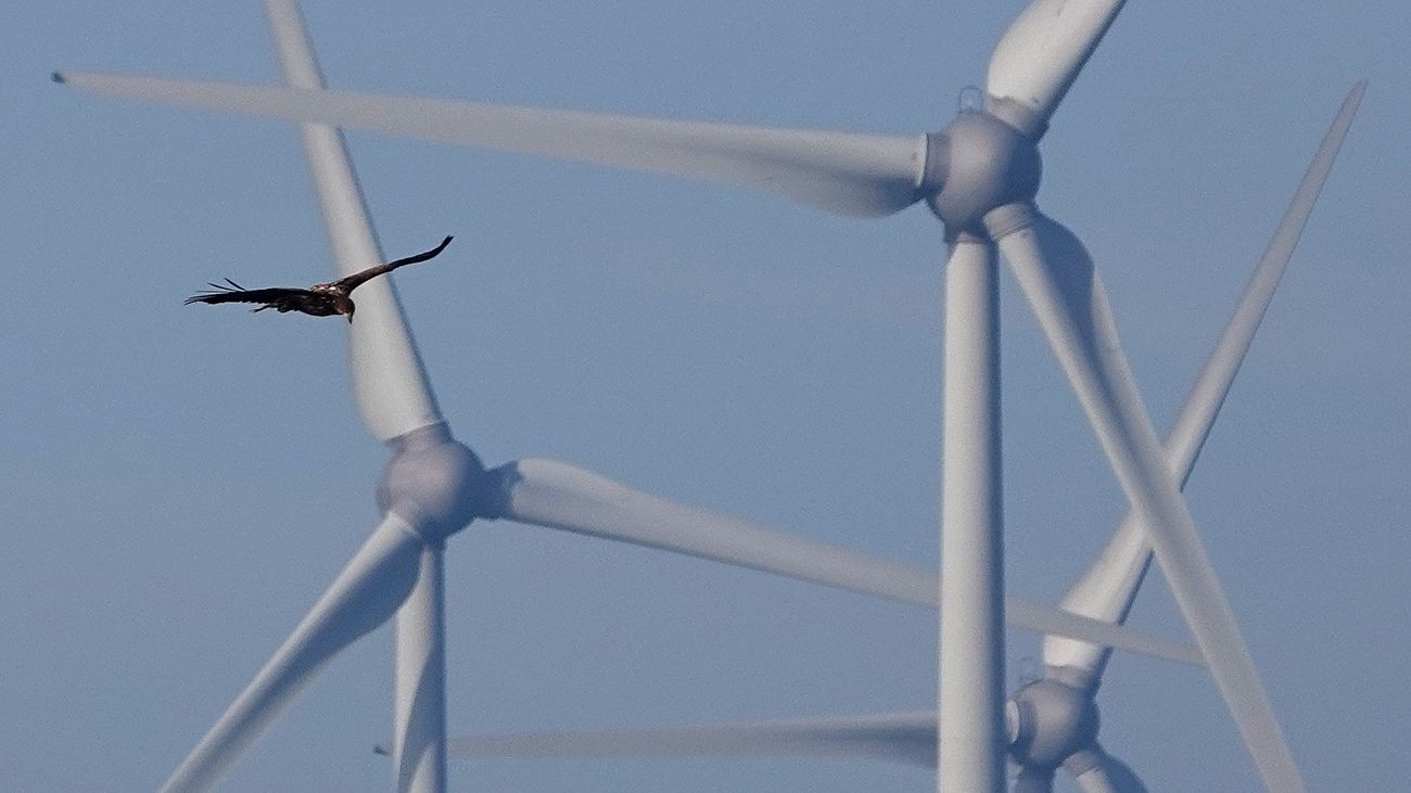 Nieuwsoverzicht 18/06 | Dronten wil geen onderzoek naar windmolenlawaai • Huur kantoor JEL opgezegd
