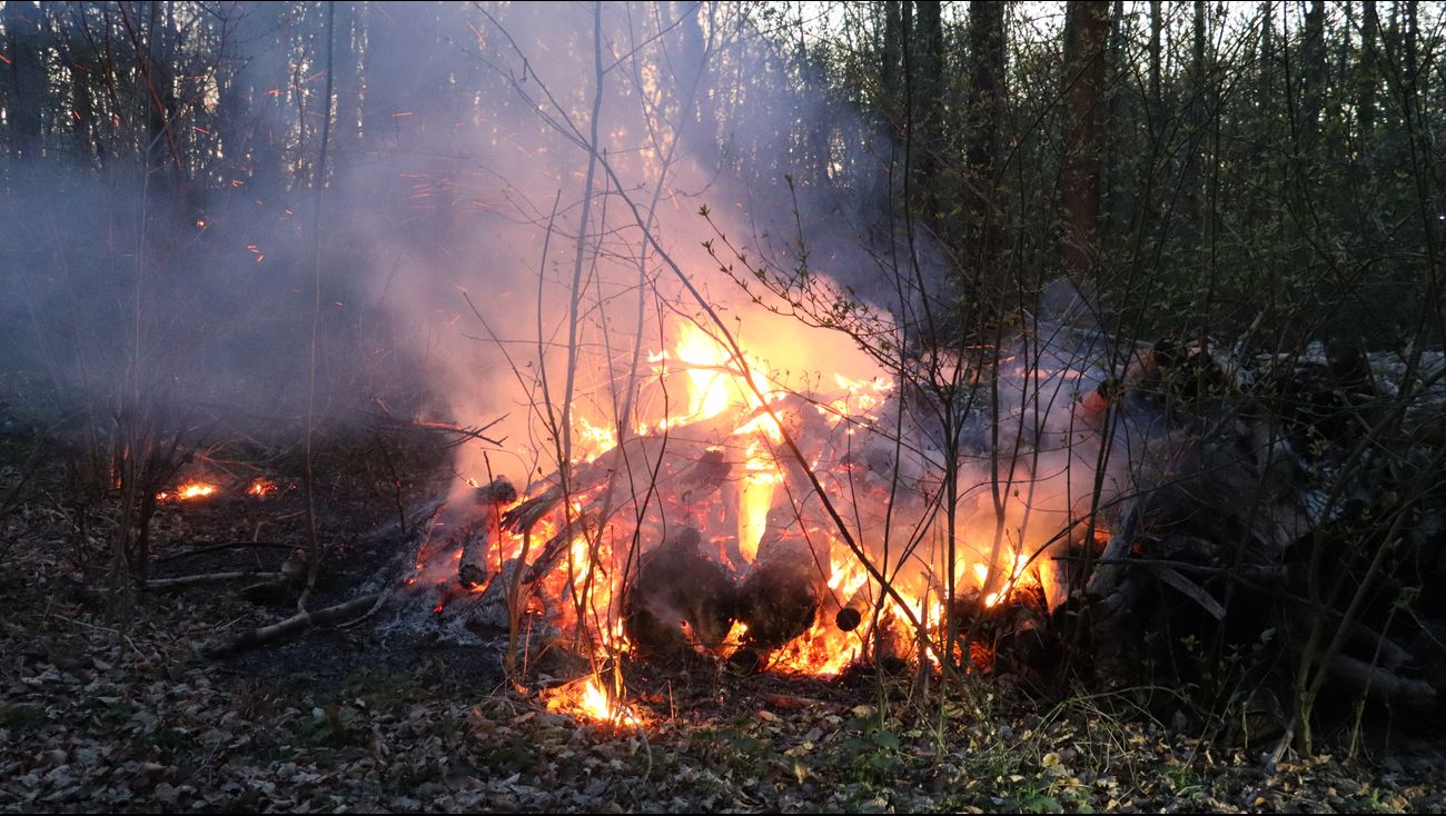 Nieuws - Meerdere branden in Almeers bos, vermoedelijk aangestoken