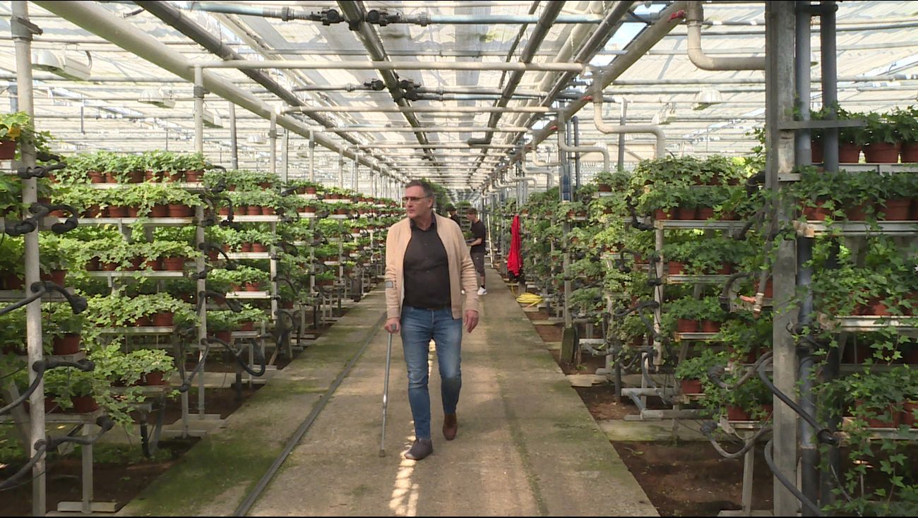 Nieuws - Liander sleept kweker voor de rechter om te hoog stroomverbruik