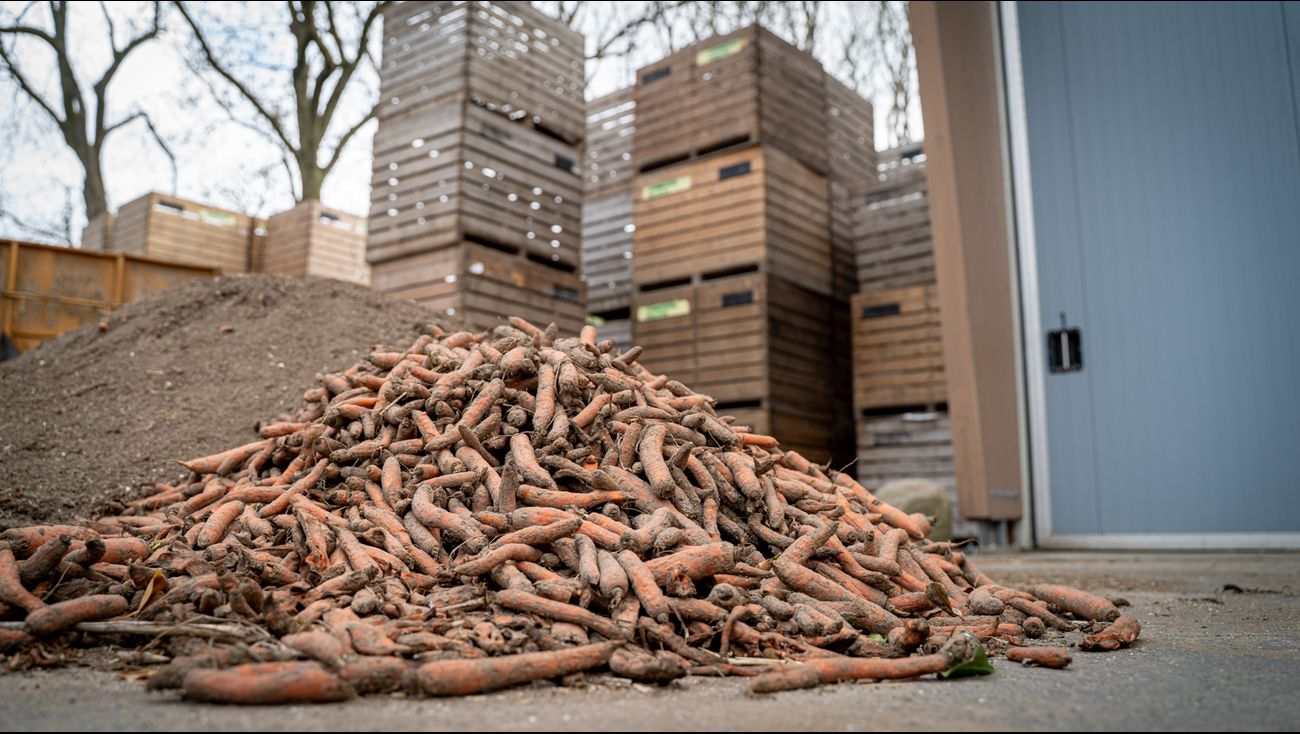 Nieuws - Wortelbedrijven ruziën bij rechter over 2.300 gevulde kuubskisten in koelhuis