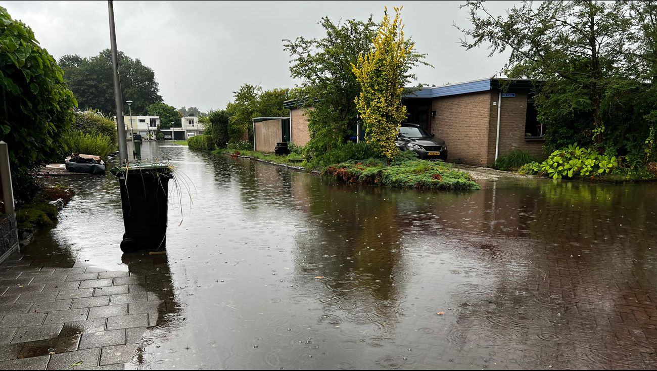 Nieuws - Nieuwsoverzicht 22/07 | Wateroverlast in Nagele • Weerman Omroep Flevoland naar Talpa