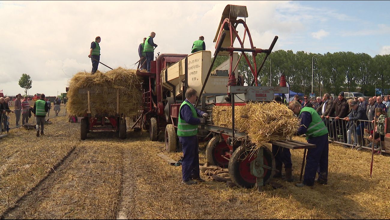 Nieuws - Oogstdag doet oude tijden herleven: 'Dit feest hoorde bij het dorp'