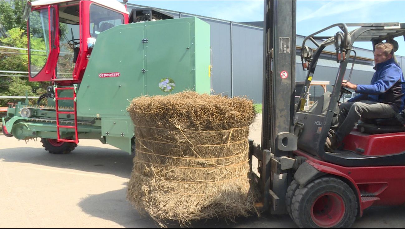 De Polder Triënnale kan van start: 'We laten ontwerpers werken met materialen uit de natuur'
