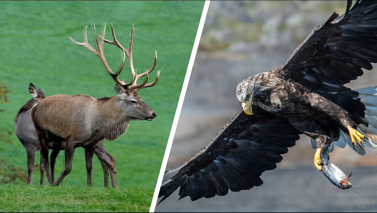 Video porno mc mirella assistir Foi por esta rasão que o