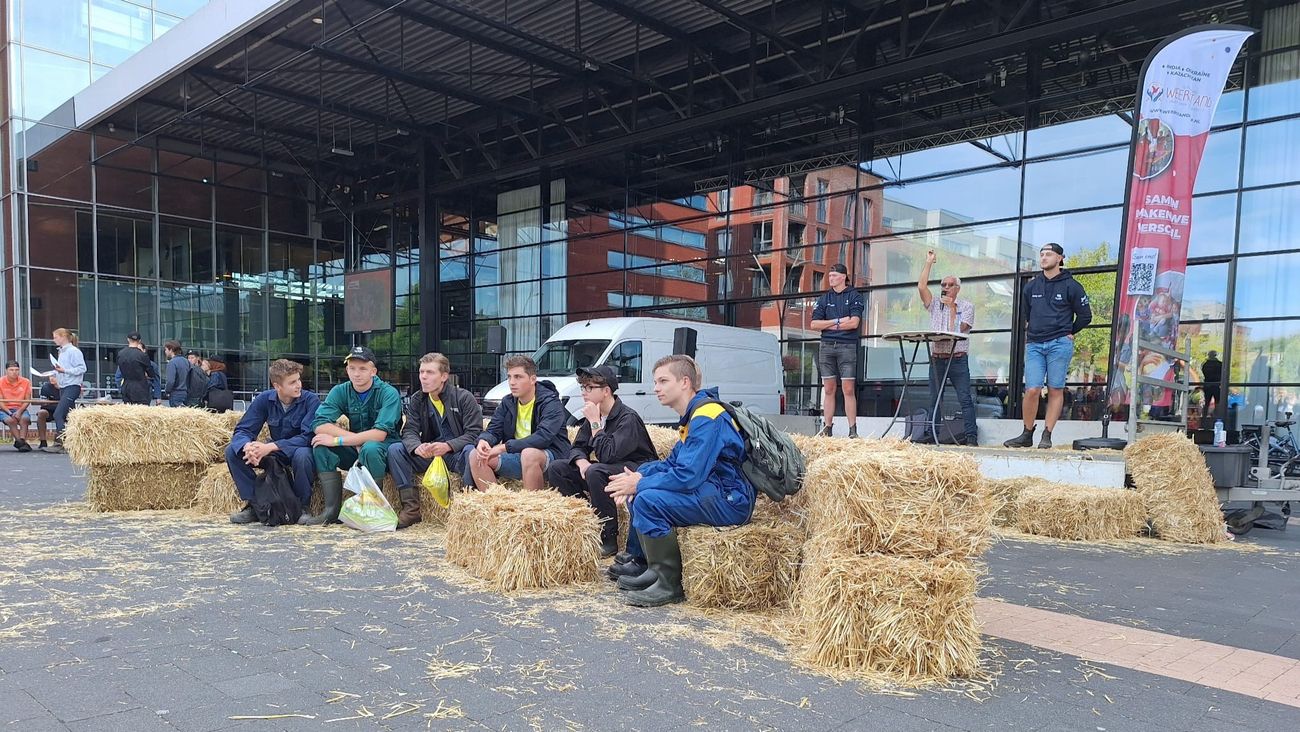 Dit jaar vierhonderd biggen op jaarlijkse biggenmarkt Dronten