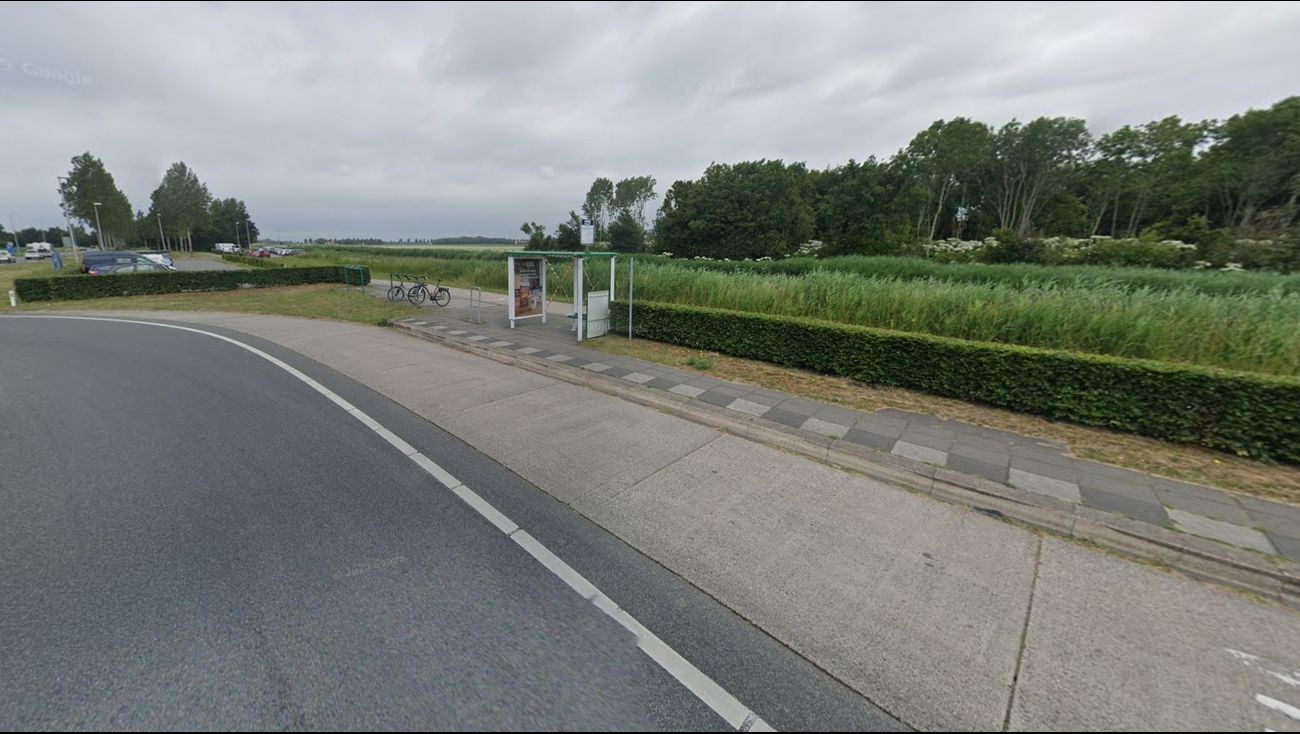 Nieuws - Bussen slaan bushalte Domineesweg over, reizigers in donker op carpoolplaats