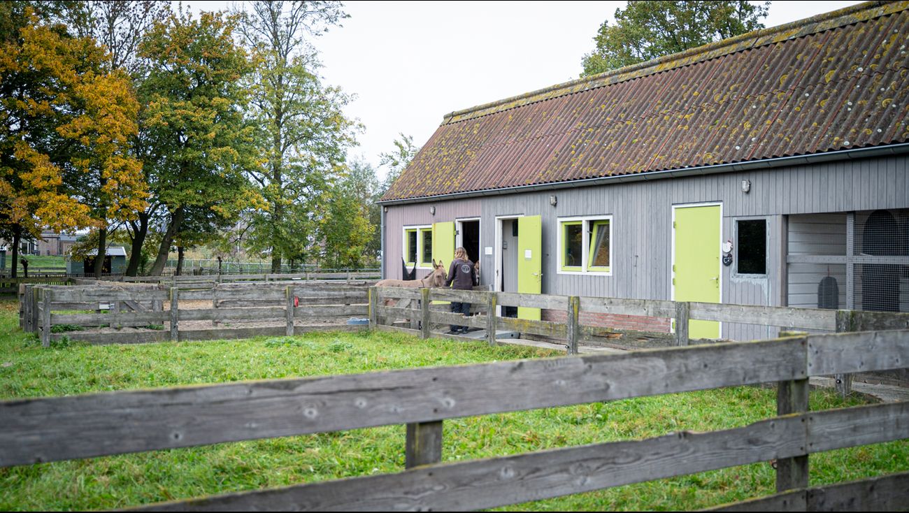 Nieuws - Populaire kinderboerderij verhuist, maar mogelijk verhuizen de dieren niet mee