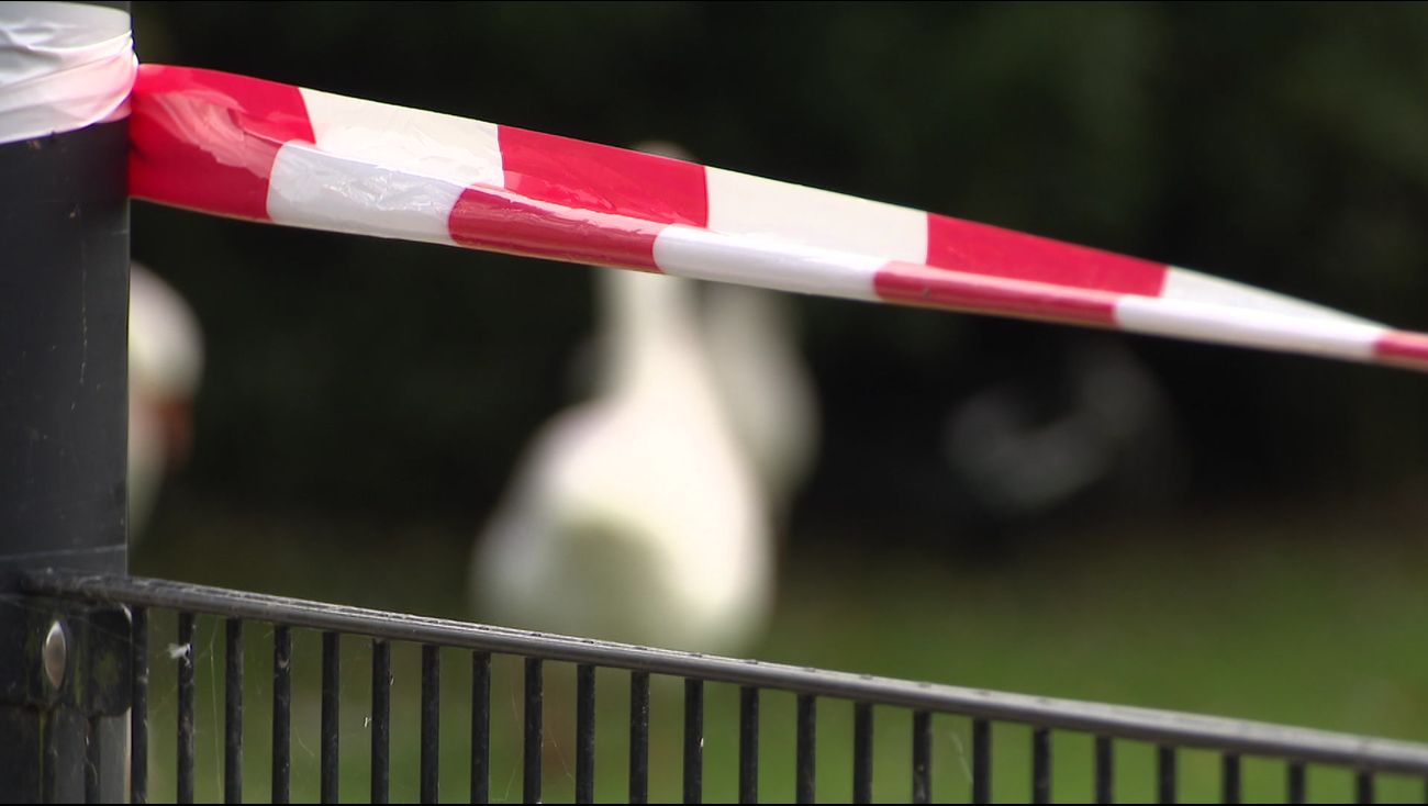 Kinderboerderij De Bambihof deels gesloten door vogelgriep: 'Het is jammer, maar het moet'