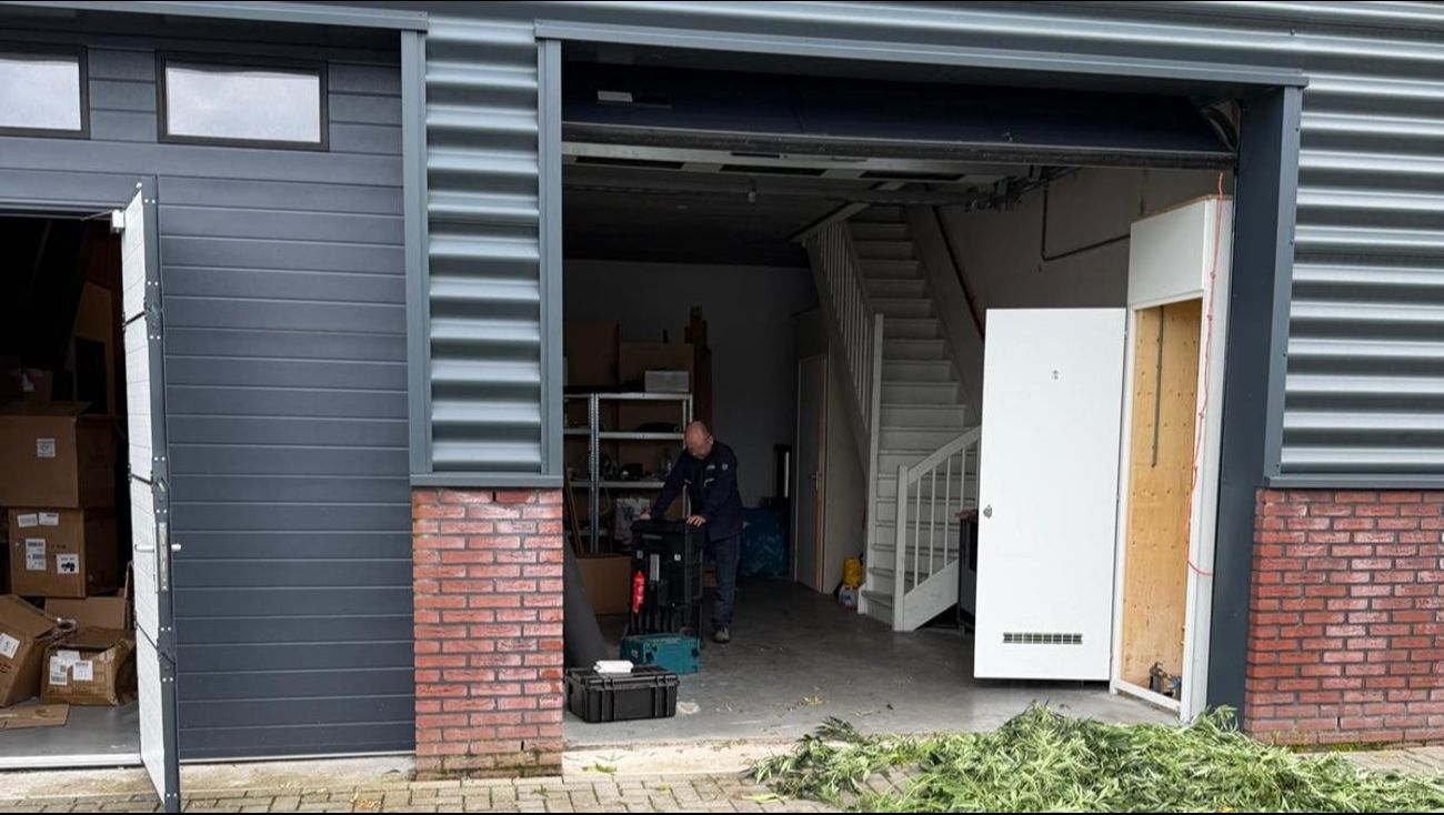 Nieuws - Politie neemt 300 wietplanten in beslag in Dronten