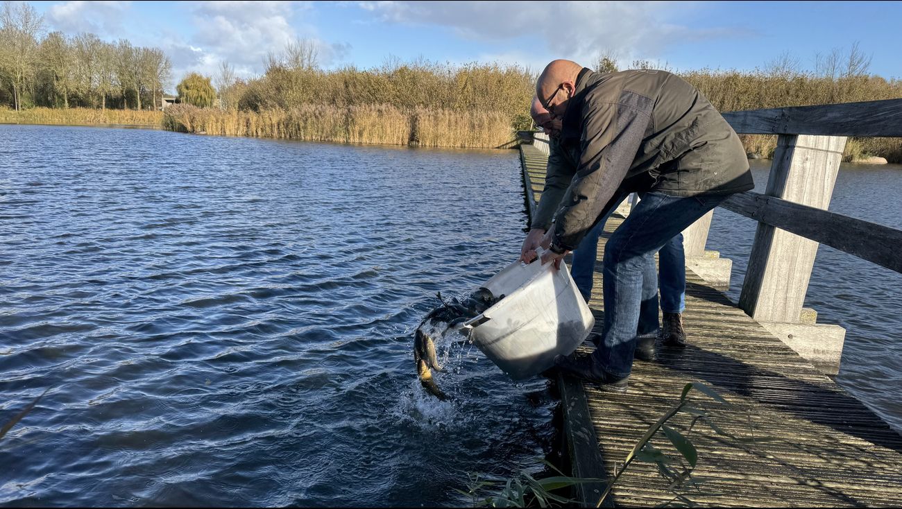Nieuws - Hengelsportvereniging zet stilletjes 700 kilo zeelt uit