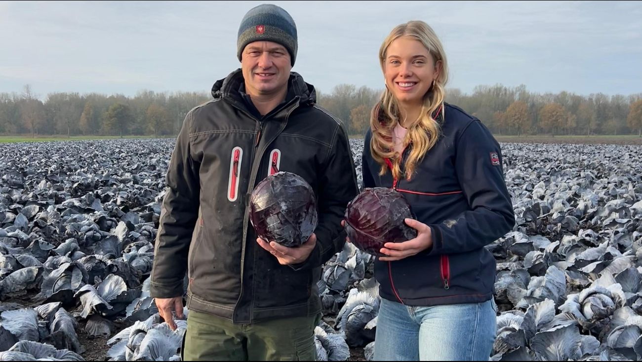 Nieuws - 100.000 kilo biologische rode kool dreigt verloren te gaan, maar online actie biedt hoop