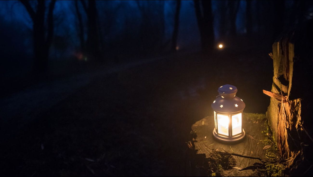 Gemist - Lichtjeswandeling: honderden deelnemers door het pikkedonker in Zeewolde