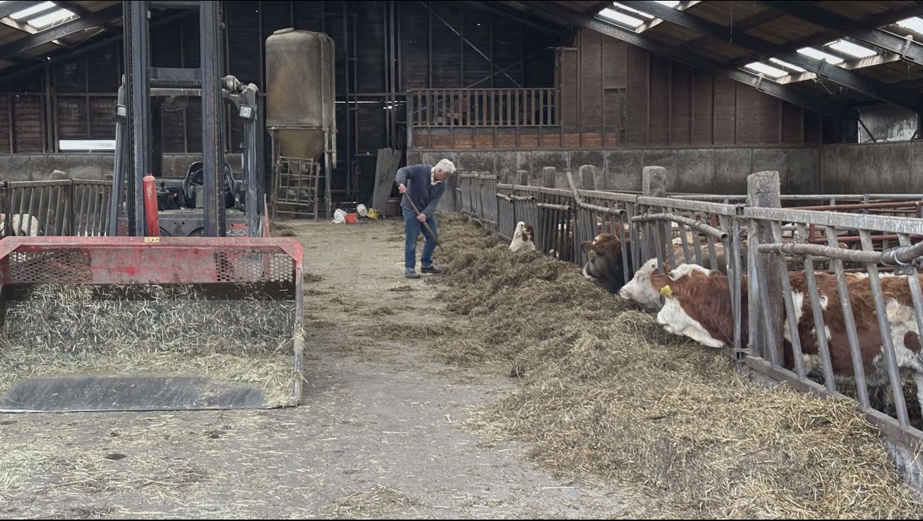 Almeerse stadsboer maakt zich zorgen over nieuwe Europese regels voor zaden: ‘Dit gaat om macht’