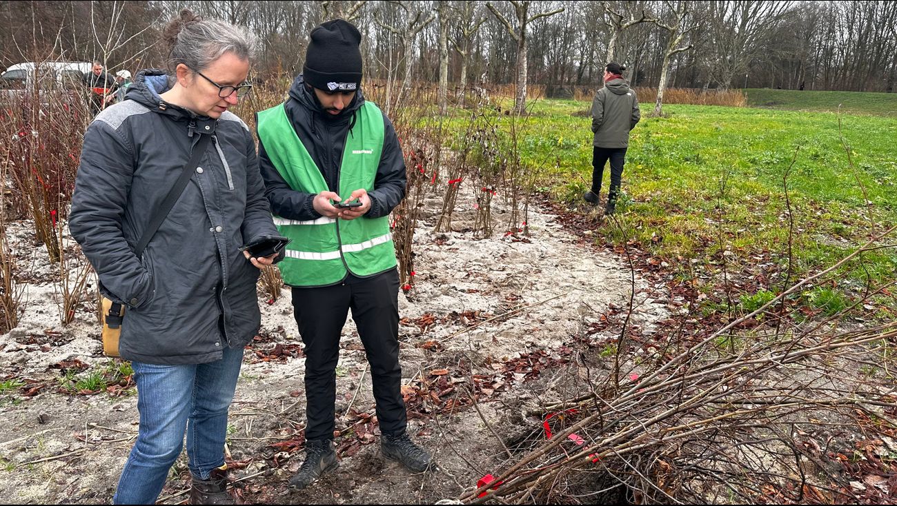Nieuws - Van populier tot kornoelje: Lelystad deelt duizenden jonge boompjes uit