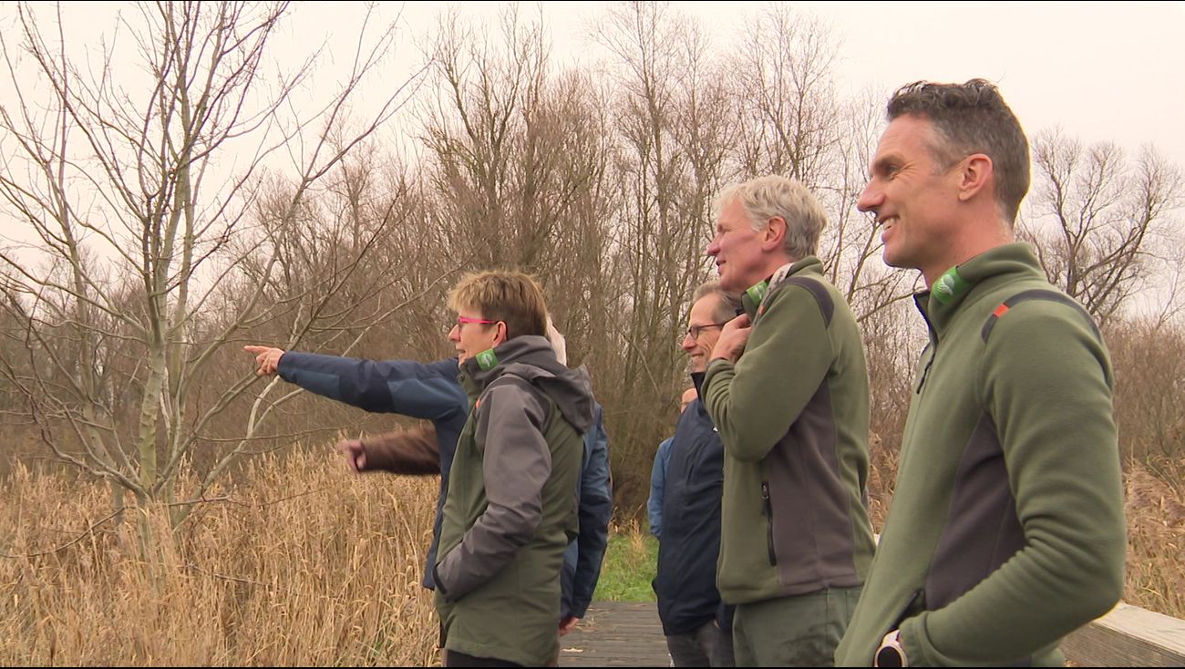Nieuws - Oostvaardersveld is droger geworden; natter maken helpt bij terugkeer rietvogels