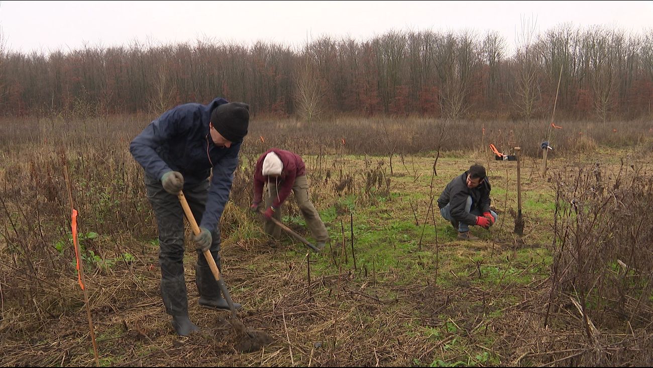 Nieuws - Grootste voedselbos van Europa voltooid: 'Hier groeit een eetbaar landschap'
