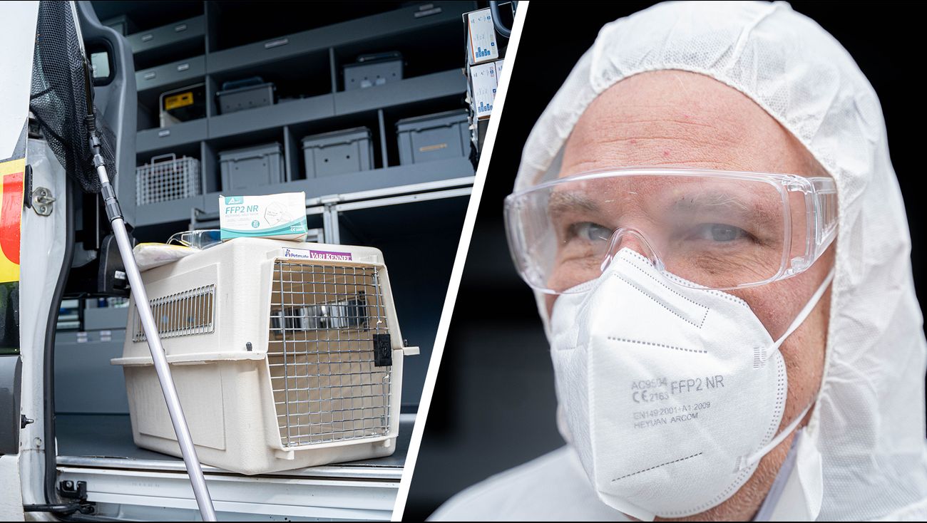 Dierenambulance heeft door vogelgriep dringend nieuwe materialen nodig, maar geen geld om die te kop