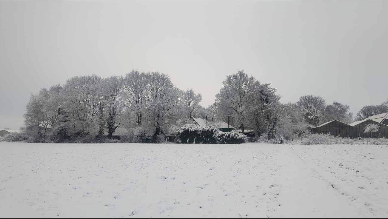 Nieuwsoverzicht 07/01| Flevoland in de greep van sneeuwval • Poppodium Emmeloord hoeft nog niet te v