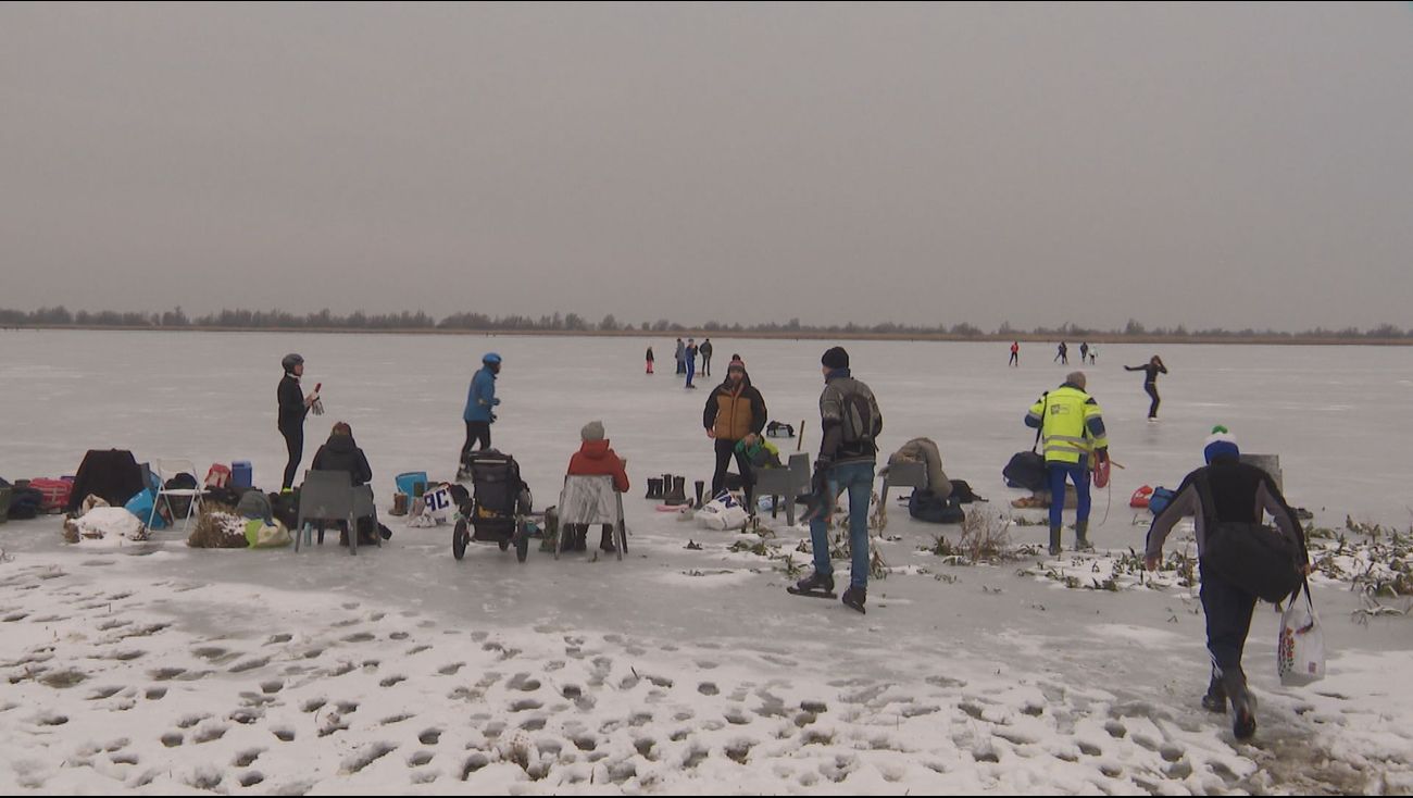 Nieuws - Genieten van natuurijs op Oostvaardersplassen: 'Dit is echt fantastisch'