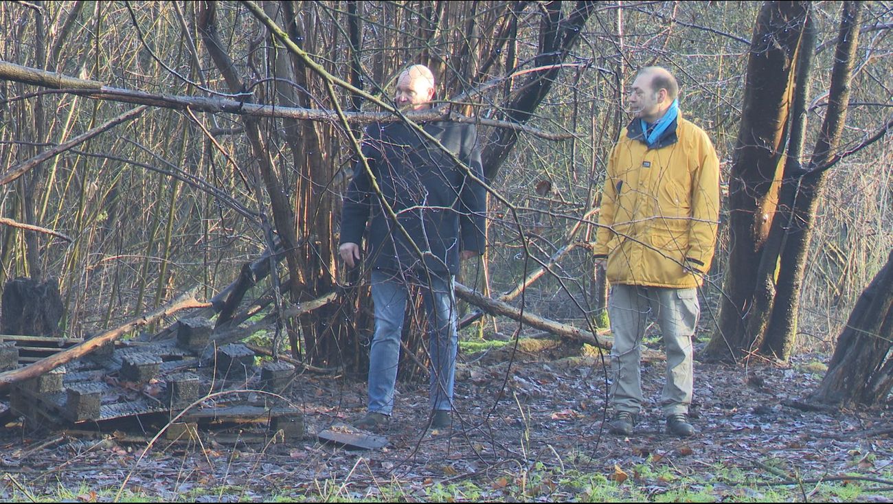 Nieuws - Verbranding bijenvolken raakt imker nog altijd diep, maar er is veel steun