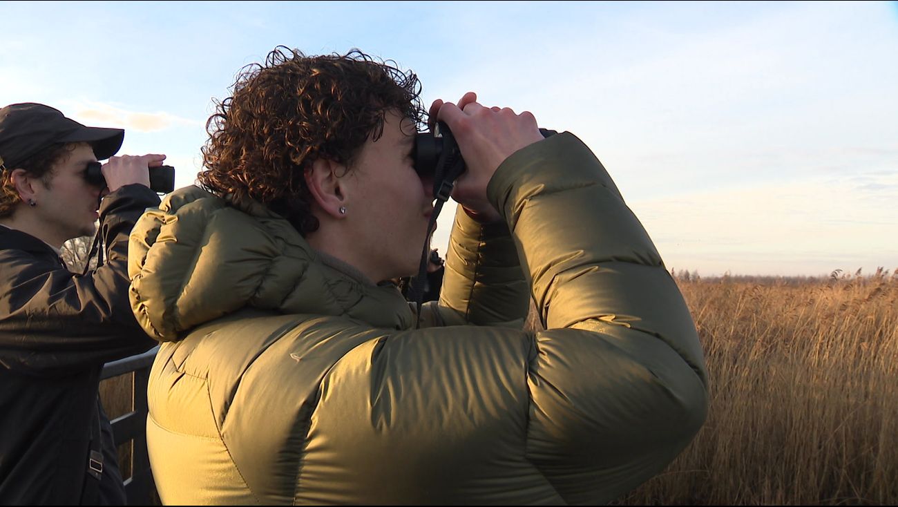 Biologiestudenten tellen soorten in Nationaal Park Nieuw Land: 'Zie je de kiekendief, dan word je we