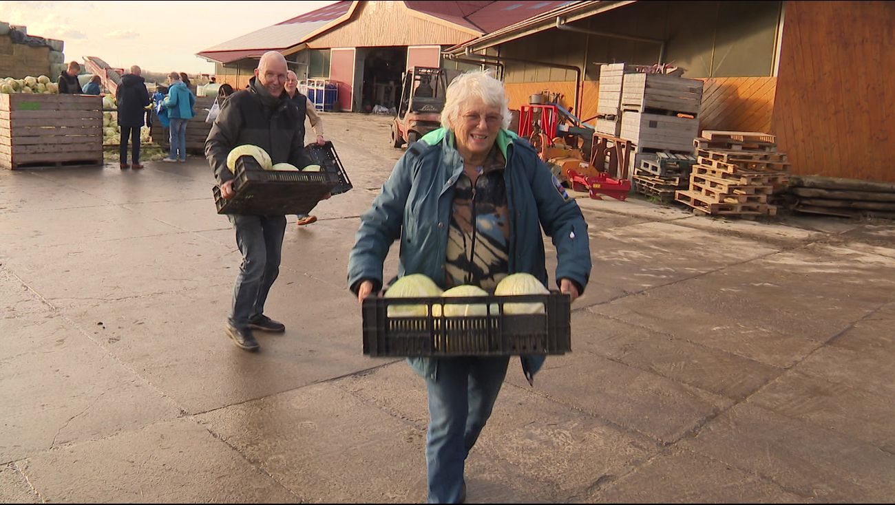 Nieuws - Grote witte kolen voor een koopje: 'Het voelt goed om voedselverspilling tegen te gaan'