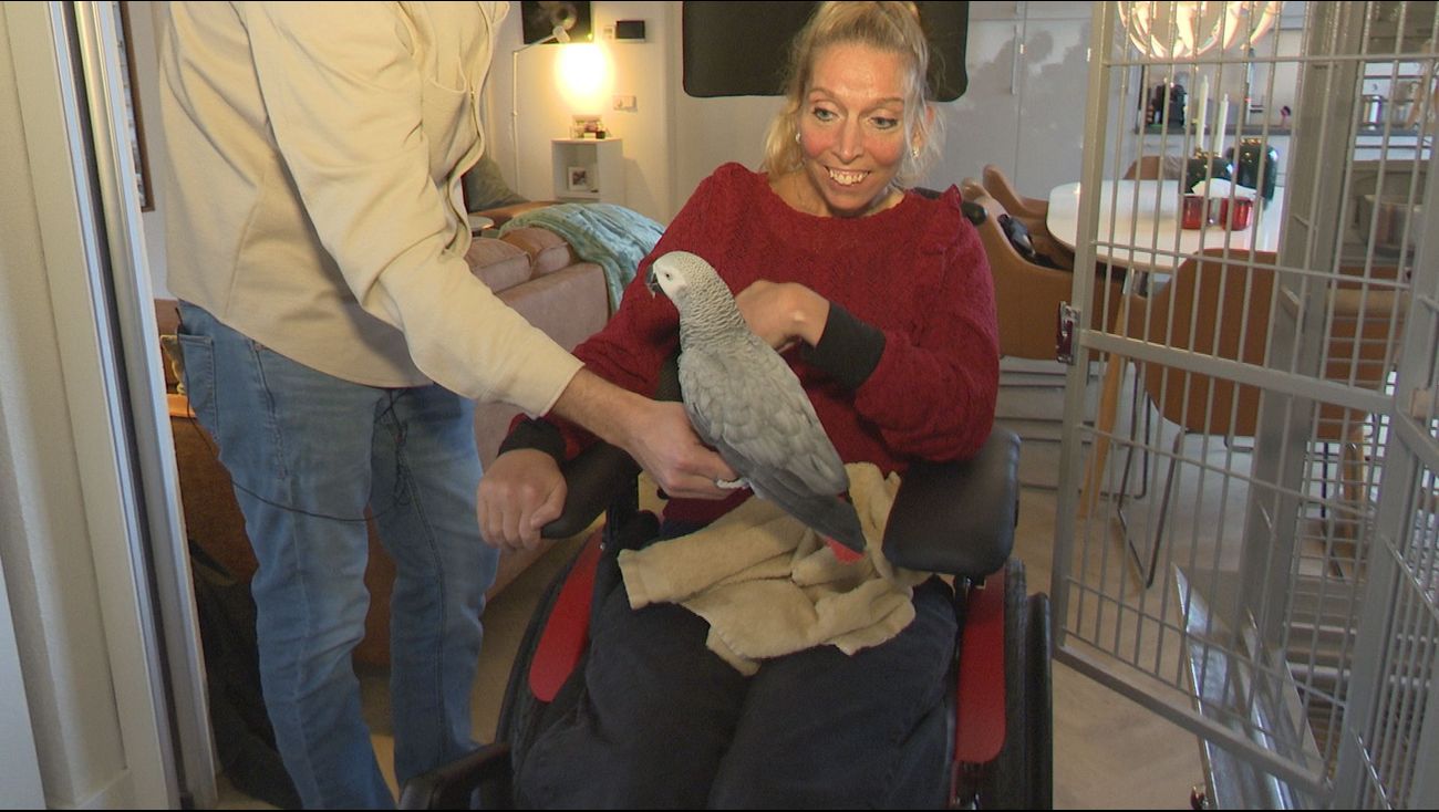 Nieuws - Lotte uit Zeewolde leeft met zwaar hersenletsel: 'We doen het naar omstandigheden goed'