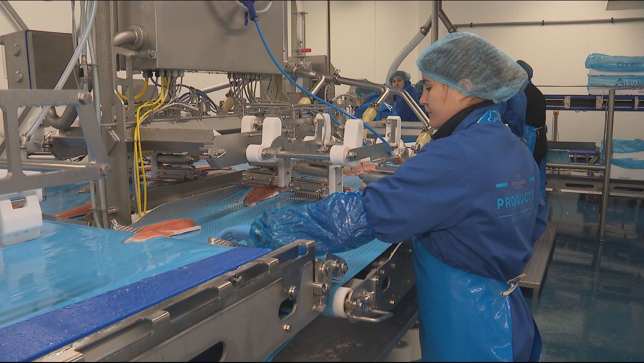 Nieuws - Urk verliest haar vloot, maar wint de wereldmarkt