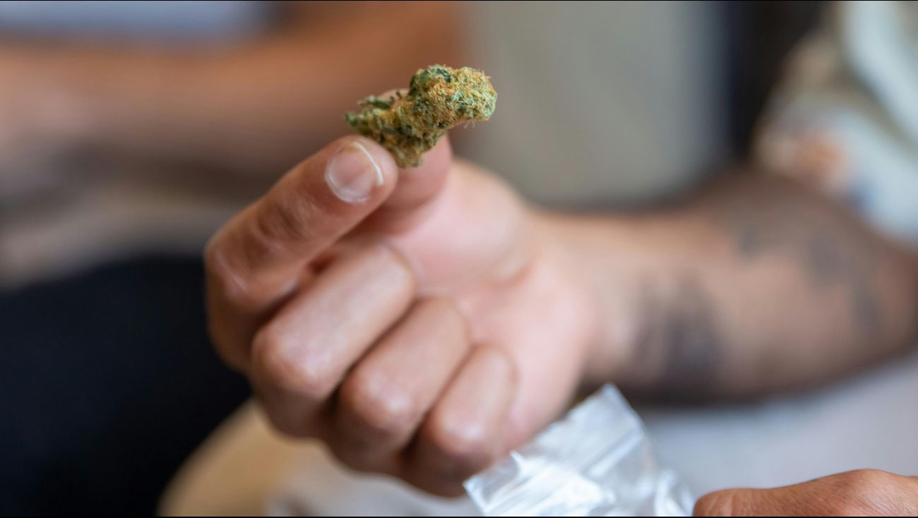 Nieuws - Controle op bedrijventerreinen levert kilo's softdrugs en illegaal vuurwerk op