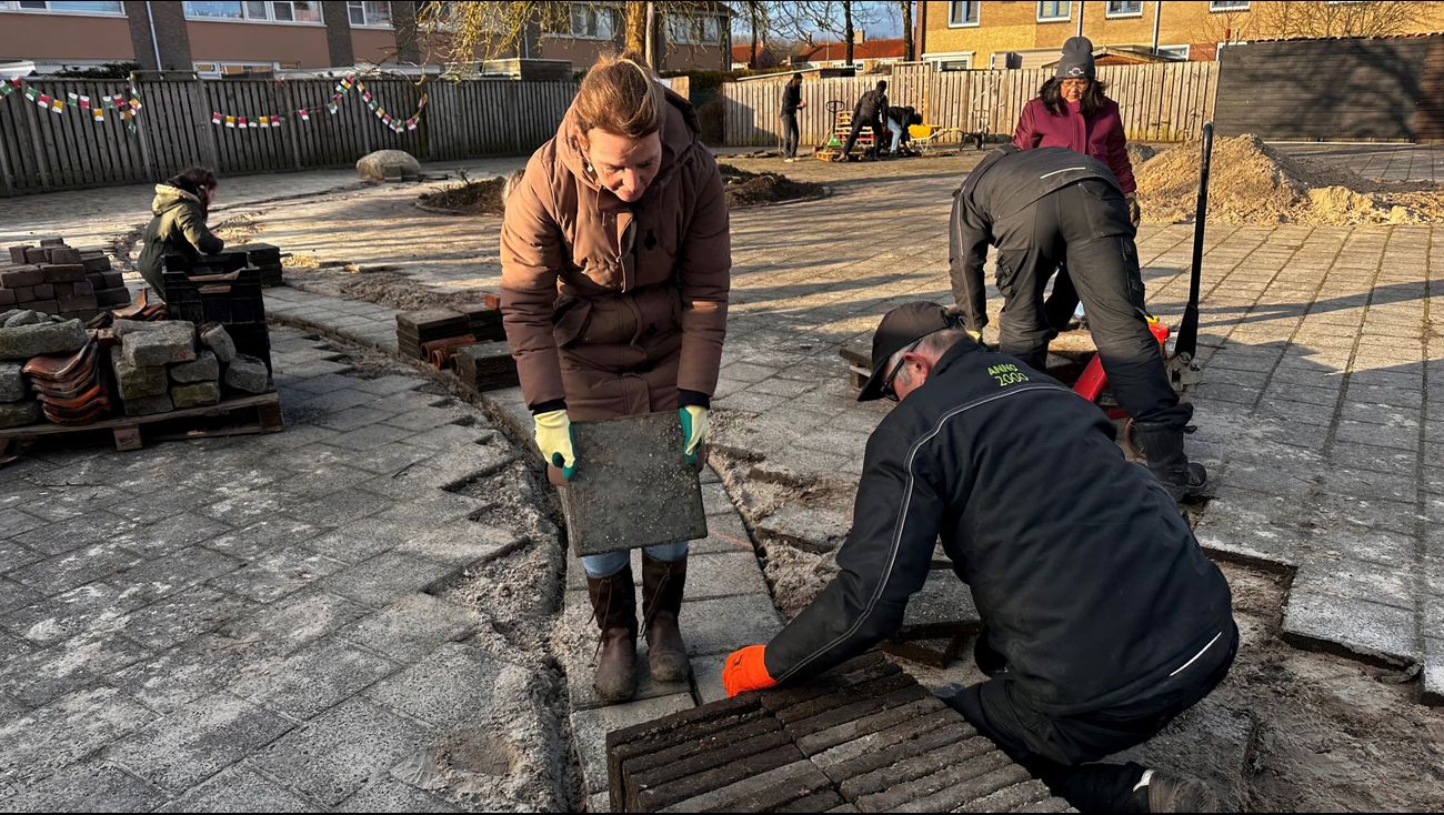 Nieuws - Pleintjes worden met hulp van Dronter buurt groene oases: 'Ik word hier zo blij van'
